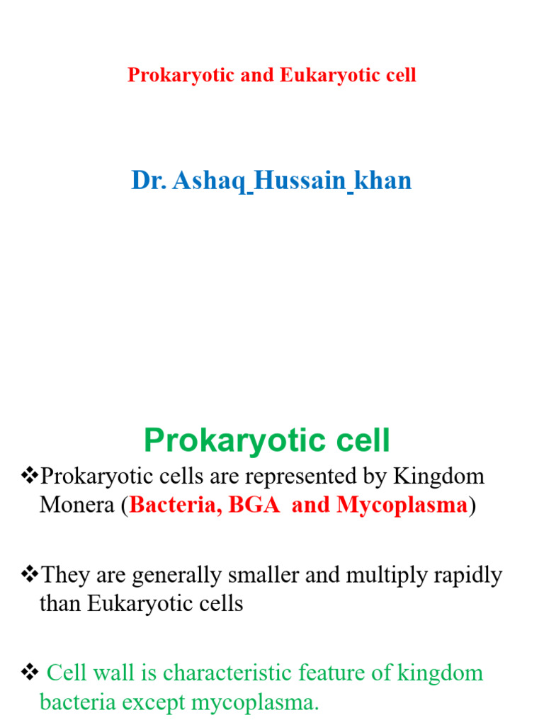 Prokaryotic and Eukaryotic Cell L2 | PDF | Cell (Biology) | Bacteria