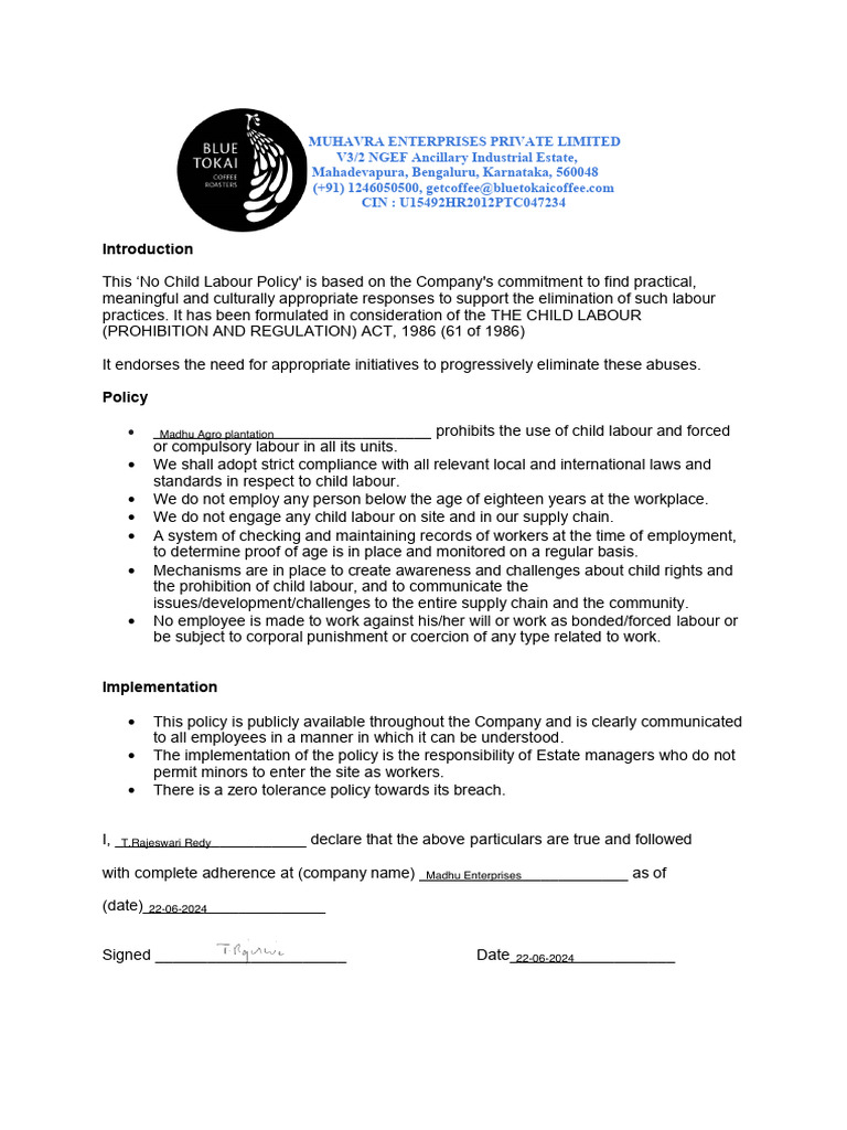 No Child Labour Declaration Template | PDF | Child Labour | Business Ethics