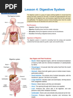 Food Digestion Time Chart | PDF | Foods | Fruit