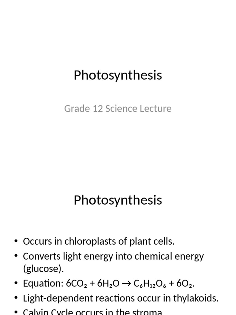 Understanding Photosynthesis Process | PDF