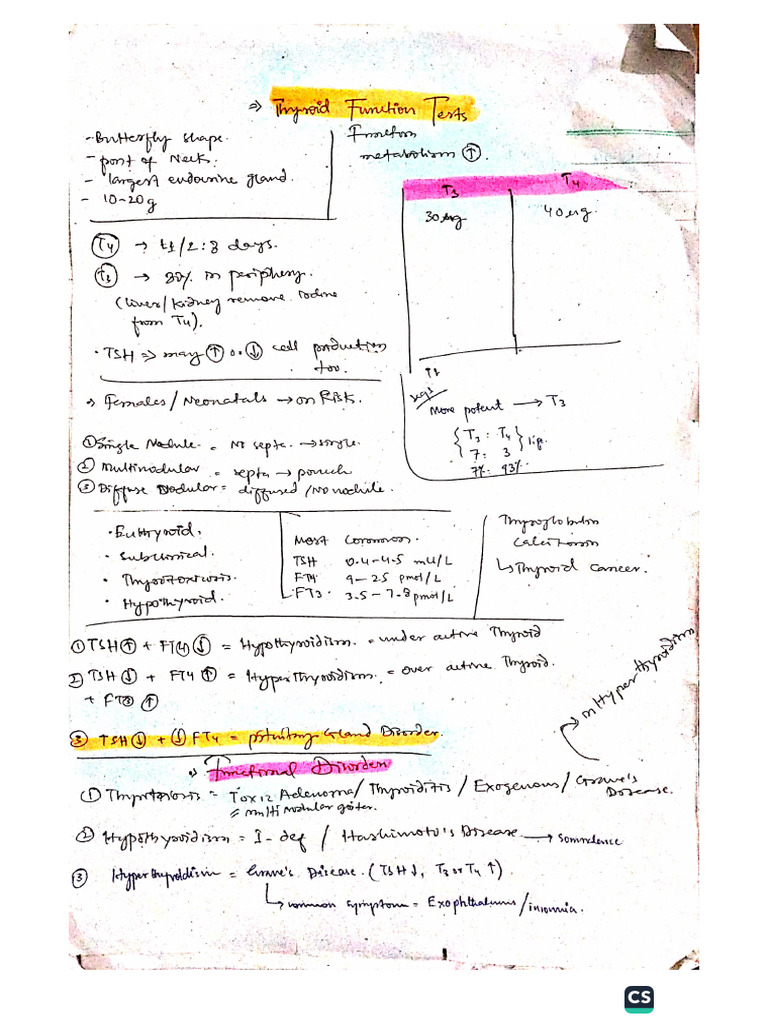 Thyroid Function Tests | PDF