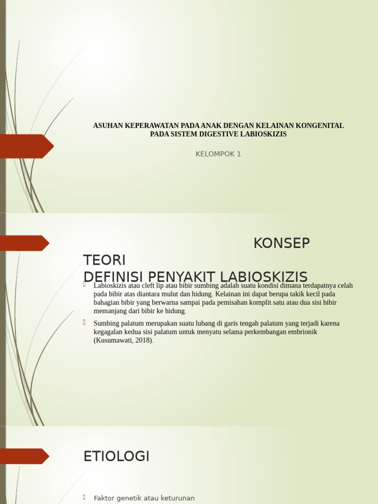 Asuhan Keperawatan Labioskizis Anak | PDF