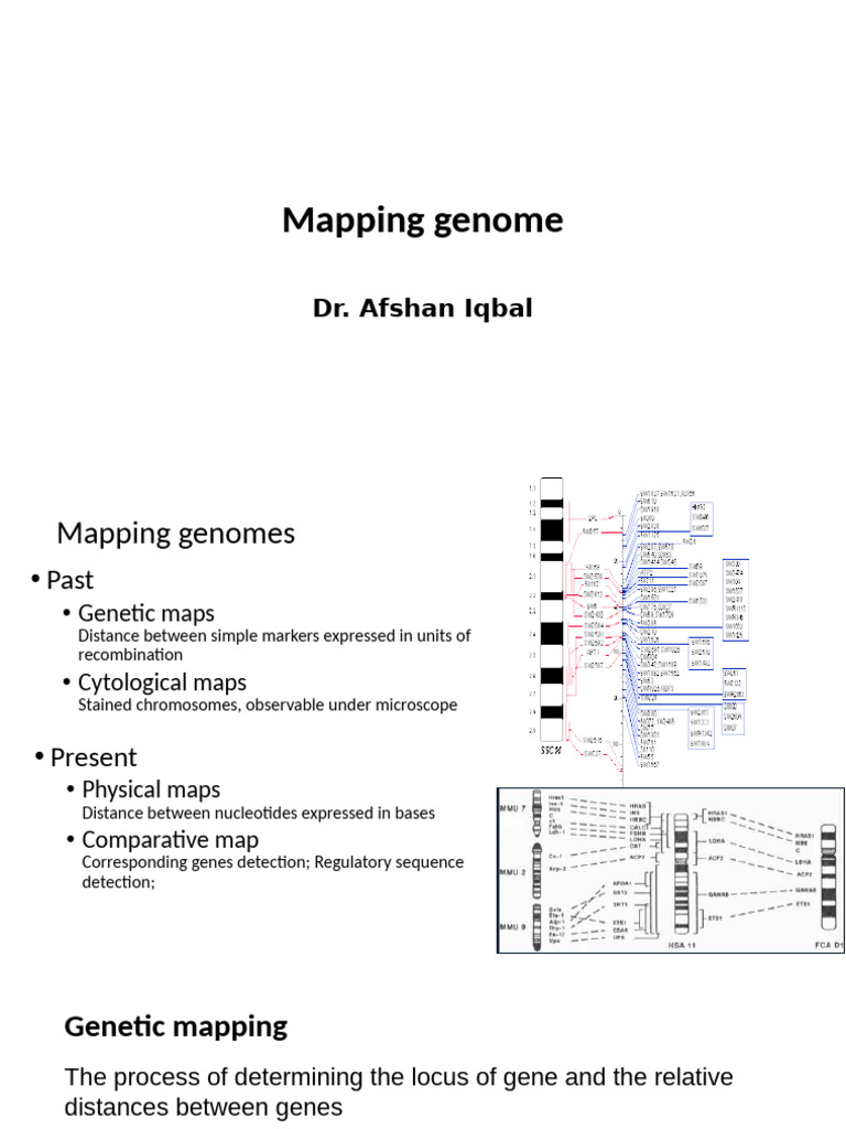Genome Mapping Techniques and Applications | PDF | Genetic Linkage ...
