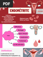 Guide du Toucher Vaginal en Gynécologie | PDF