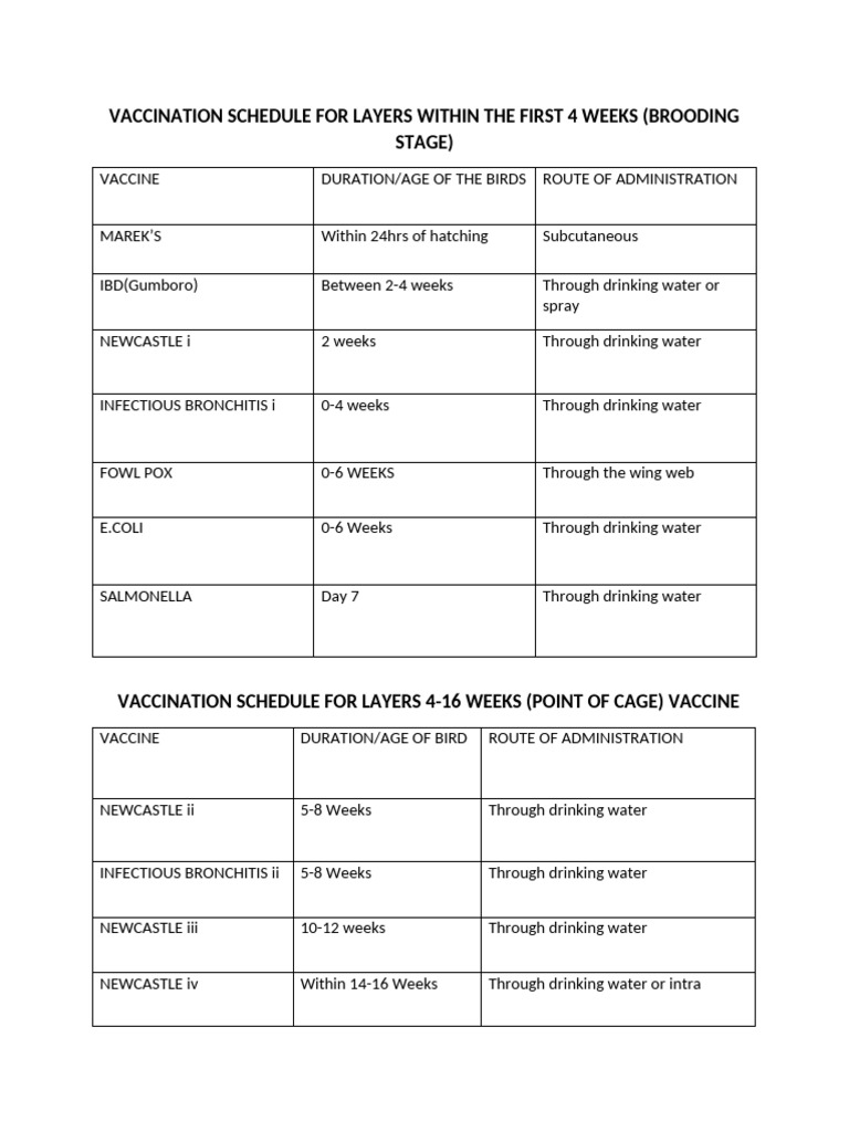 Layer Vaccination Schedule Overview | PDF | Vaccines | Health Sciences