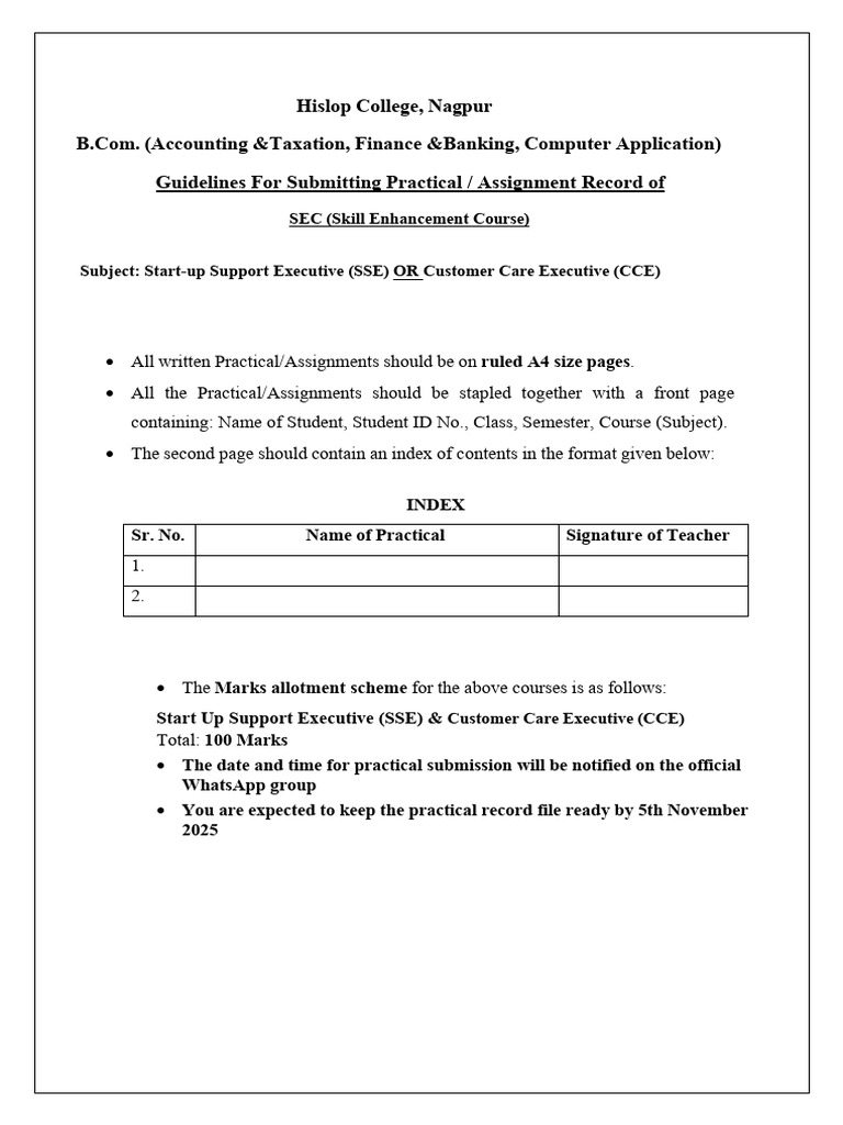 Sec-Guidelines For Submitting Practicals | PDF