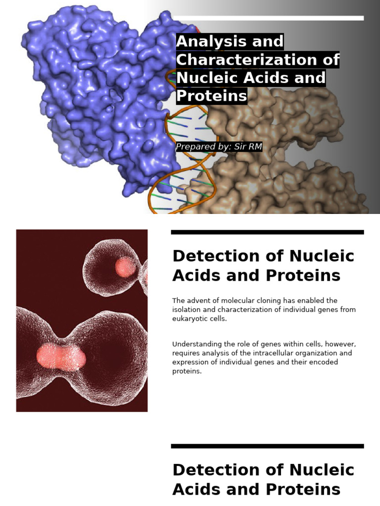 Nucleic Acids and Proteins Detection Techniques | PDF | Dna ...