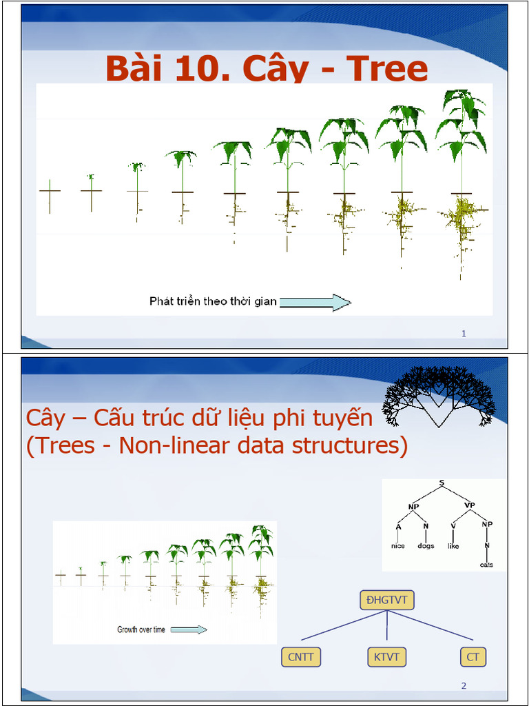 Lectures 10 Trees | PDF