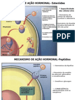 Hormonios Hipofisários 09