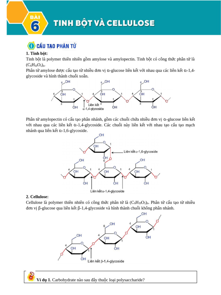 Tinh Bột Và Cellulose | PDF
