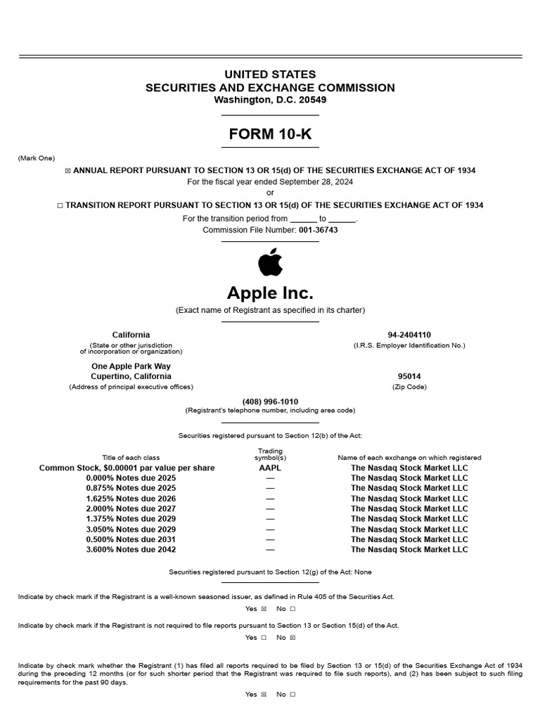 Apple Inc. 2024 10-K Report Summary | PDF | Form 10 K | Intellectual ...