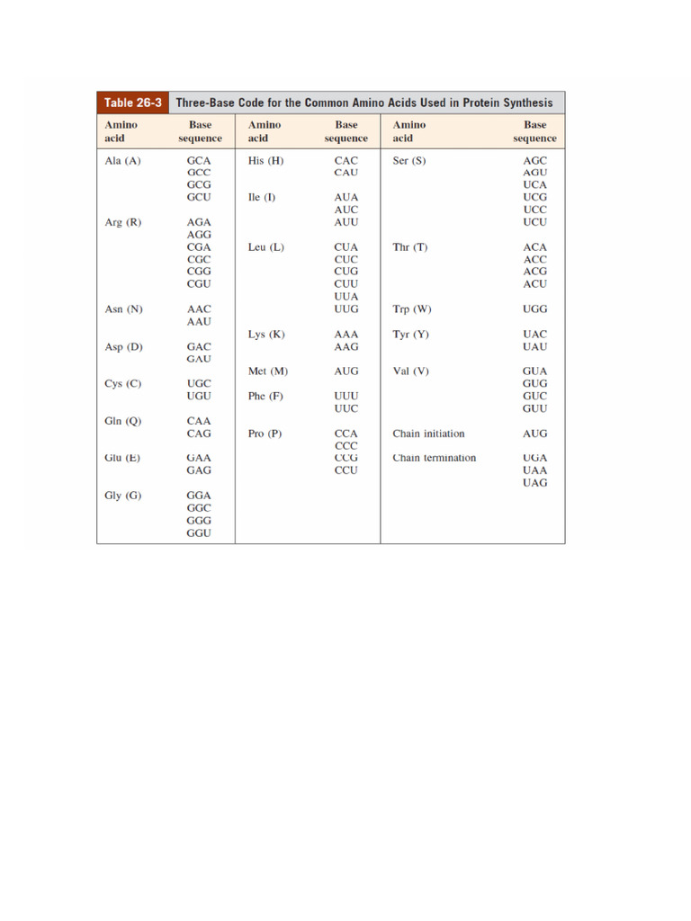 0N - 3 BaseCode | PDF