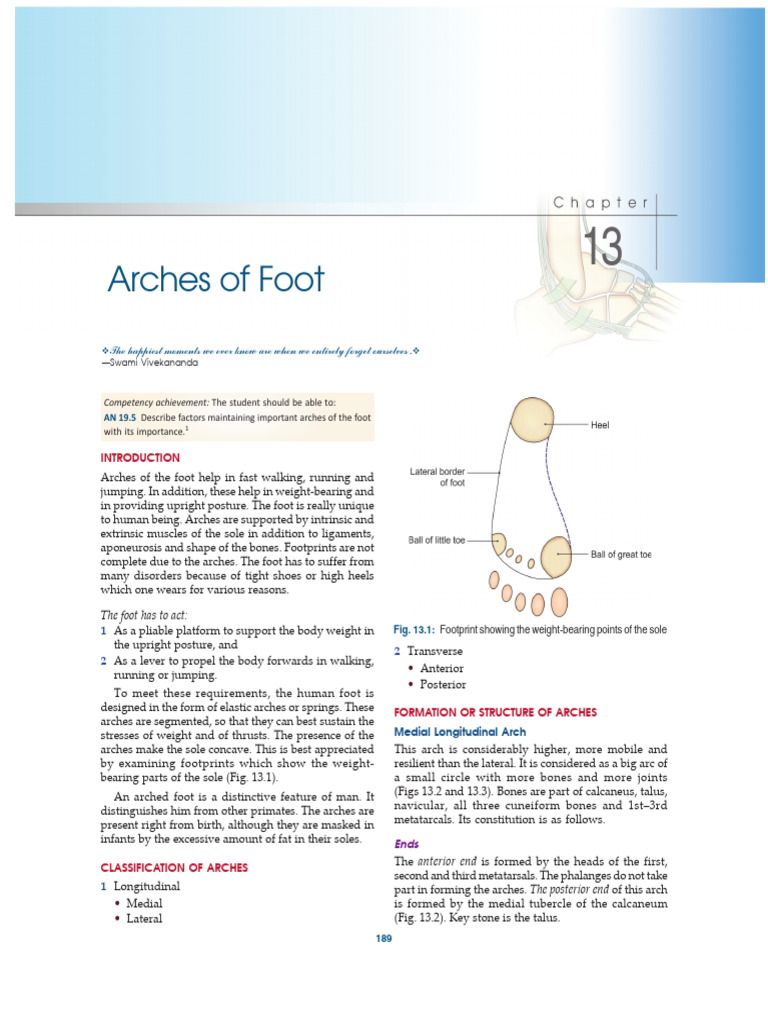 Maintaining Foot Arches Factors | PDF | Foot | Human Leg