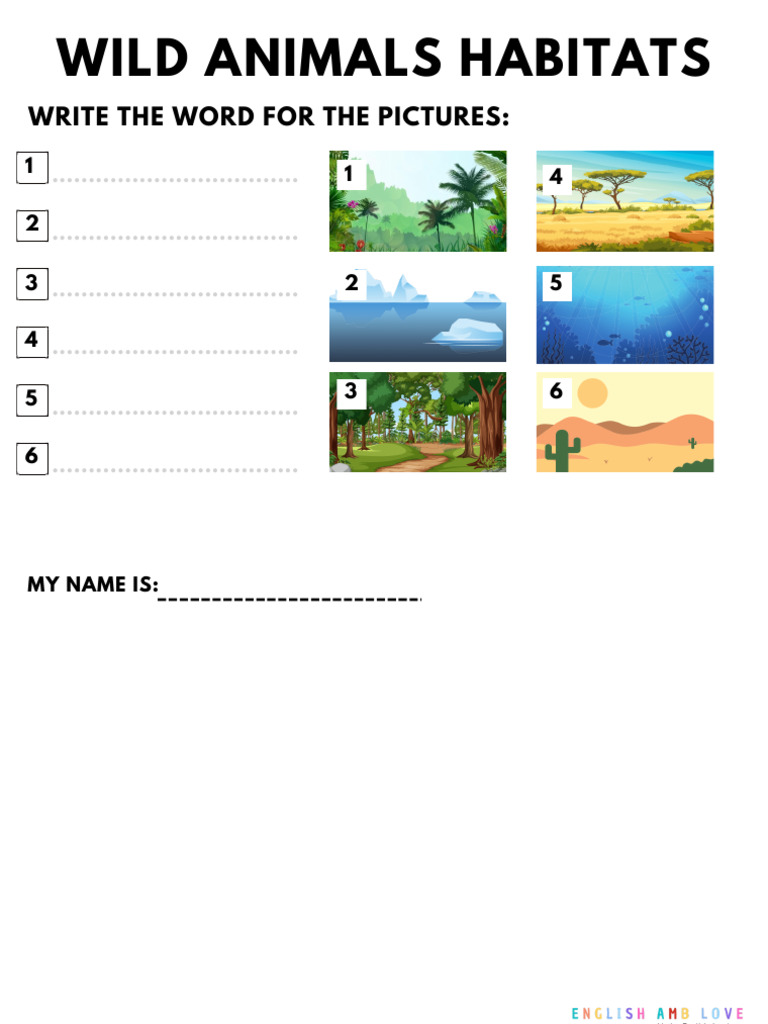 Copia de Activity Sheets PDF | PDF