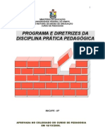 Programa e Diretrizes de Pratica Pedagogic A Ano 2008