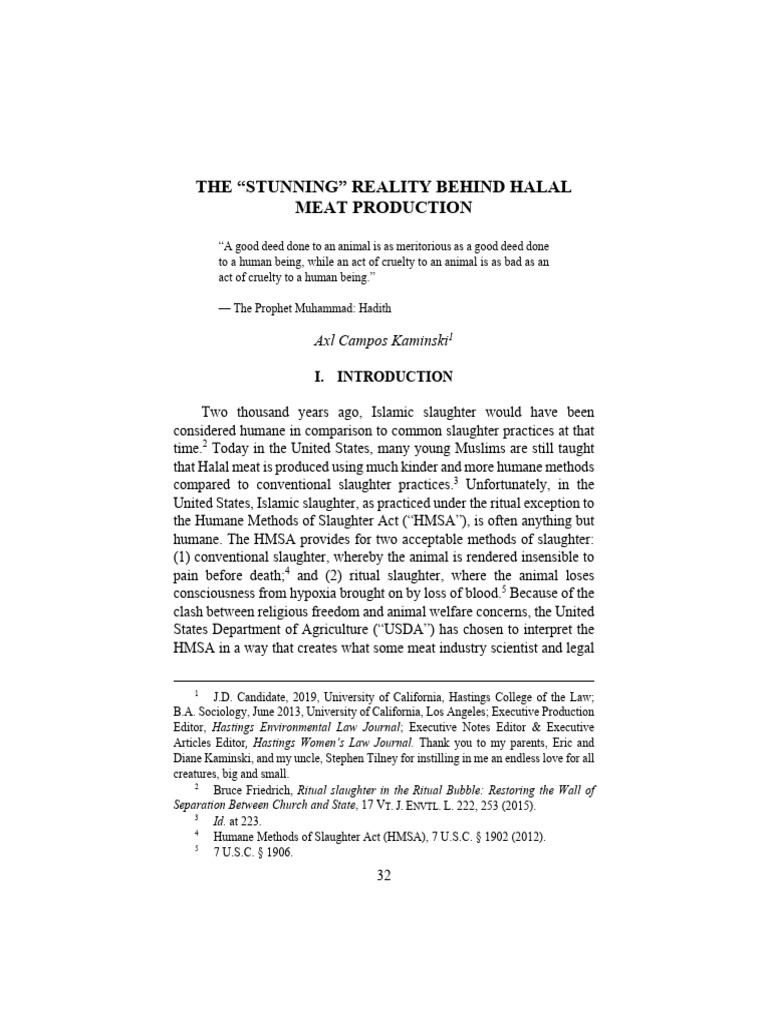 The Stunning Reality Behind Halal Meat Production PDF Animal