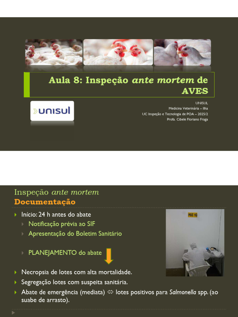 Inspeção Ante Mortem de Aves para Abate | PDF | Salmonella | Medicina ...