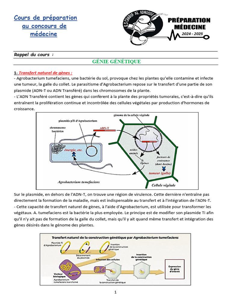 Génie génétique et transgénèse en médecine | PDF | Génétique | Biologie