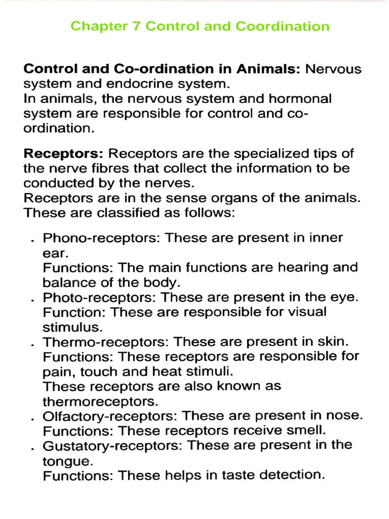 Animal Control and Coordination Systems | PDF | Neuron | Axon