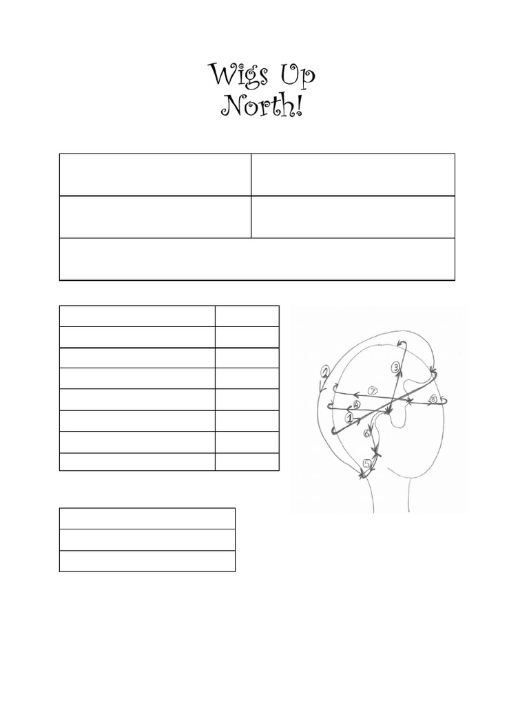 Delta Wig Measurement Sheet | PDF