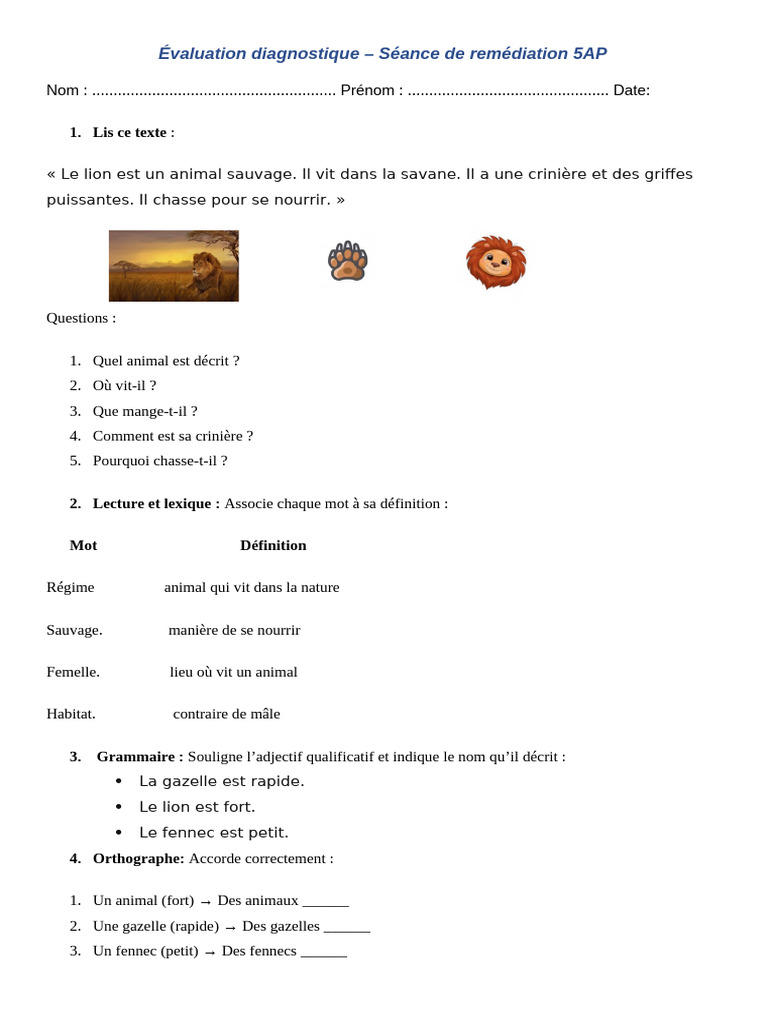 Évaluation diagnostique en remédiation 5AP | PDF