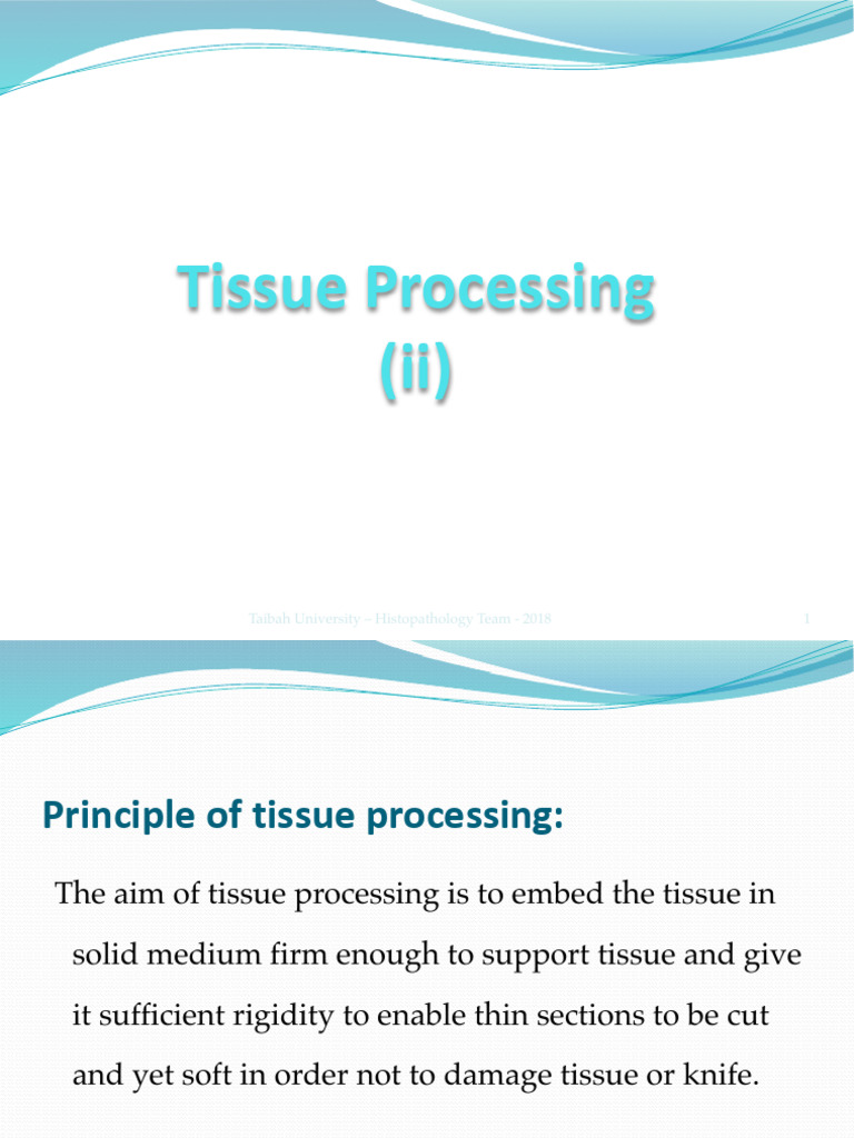 4 - Tissue Processing Cont | PDF | Histopathology