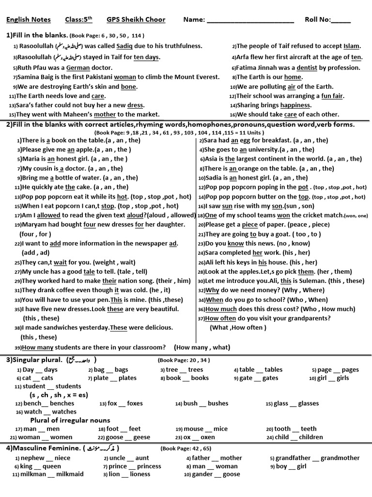 E 01 English Notes Class 5th (4 Pages) WTH Lines | PDF | Grammatical Gender