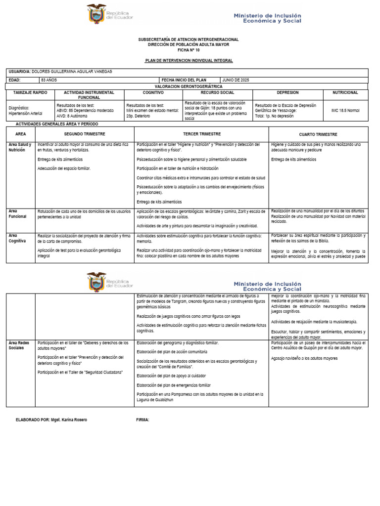 Plan de Intervención Integral para Adultos Mayores | PDF | Vejez | Las ...