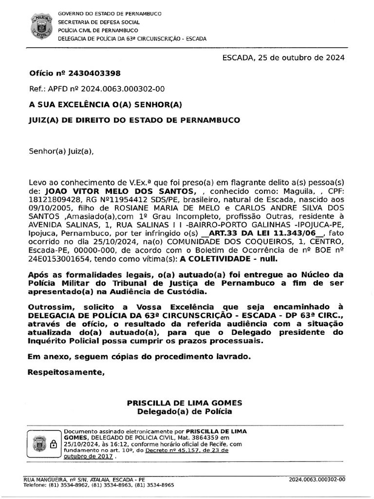 Apfd Joao Vitor Melo Dos Santos | PDF