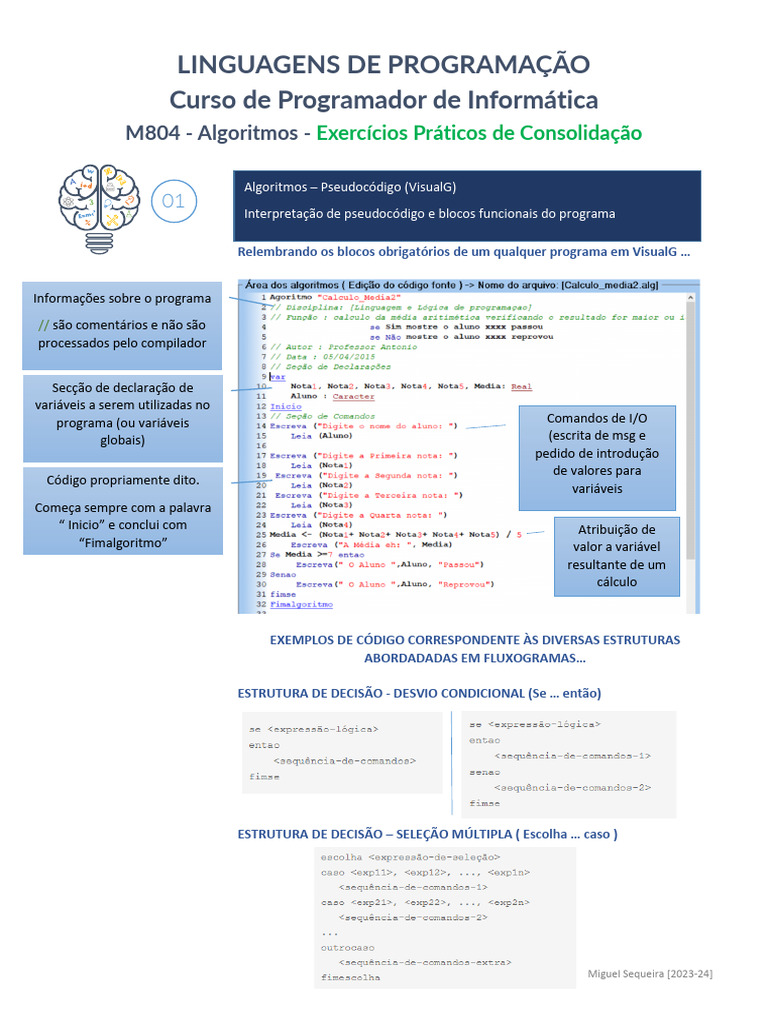 Algoritmos e Estruturas em VisualG | PDF | Algoritmos | Ciência da ...