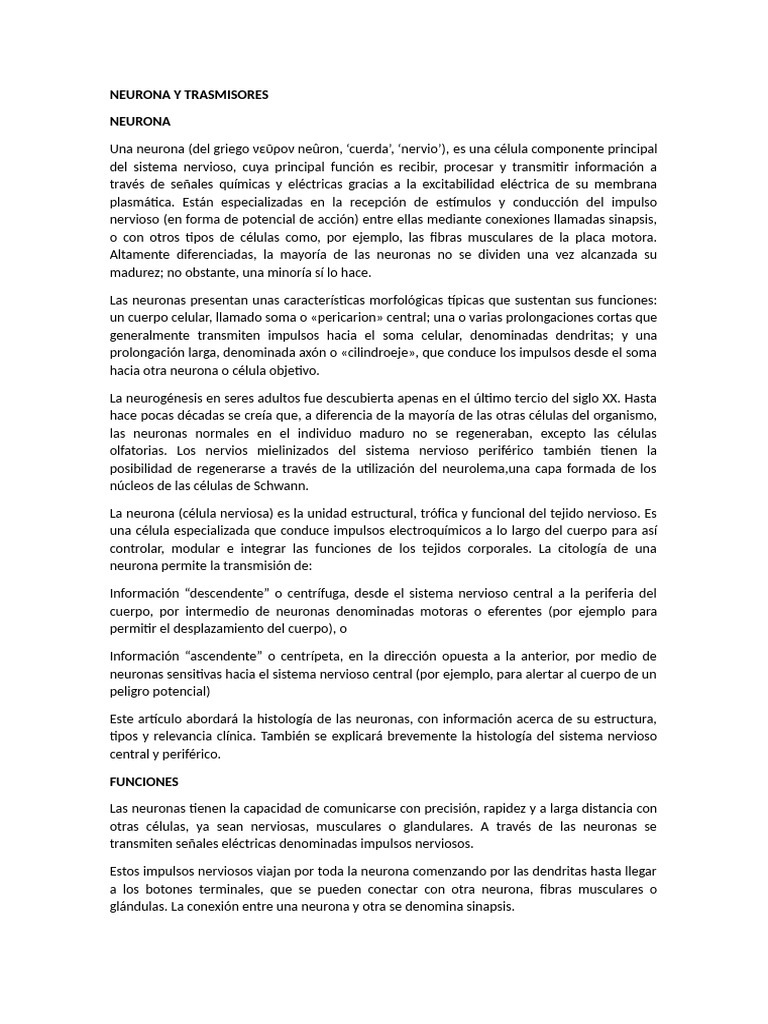 Estructura y Función de Neuronas y Neurotransmisores | PDF | Neurona ...
