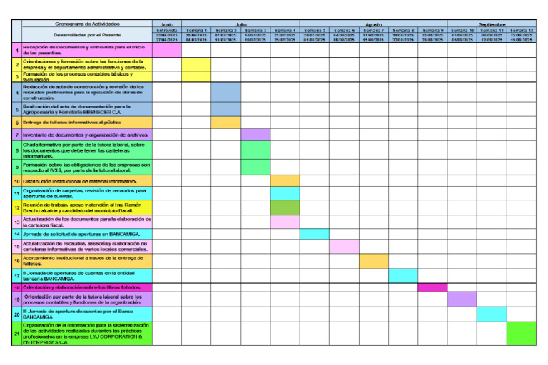Cronograma de Actividades | PDF