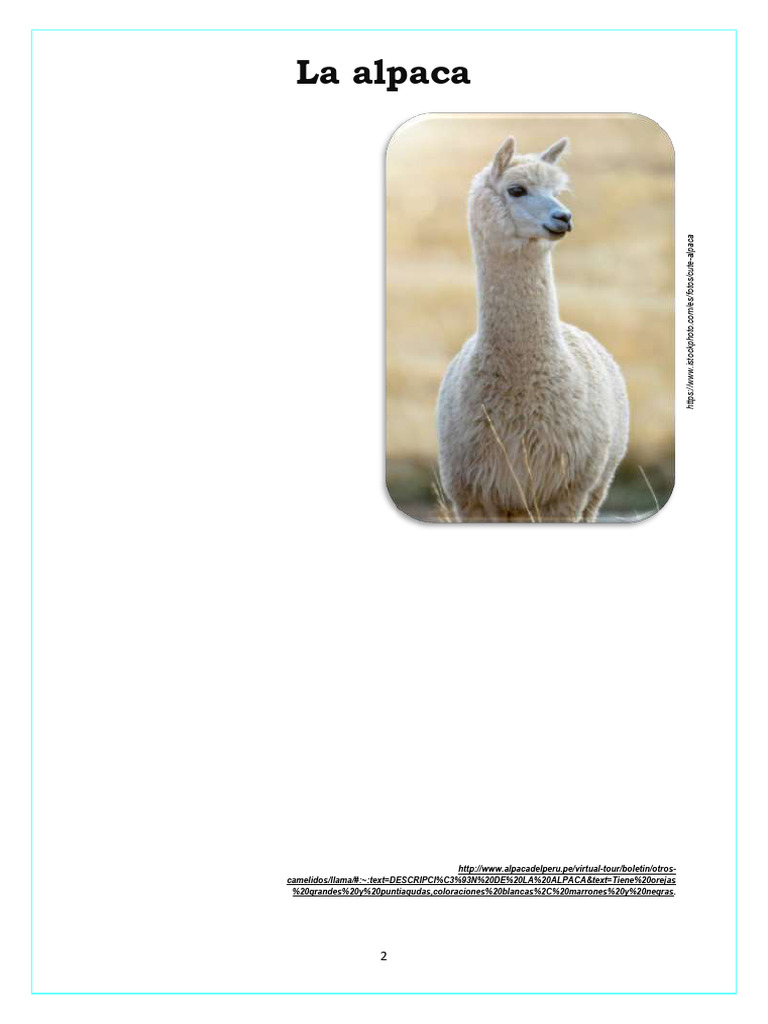 La Alpaca | PDF