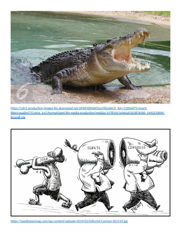 Pictures Real-Not Real | PDF