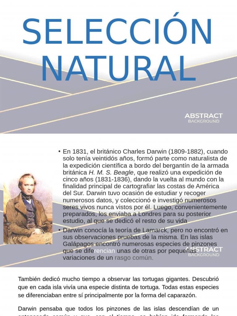 Evolución y Selección Natural de Darwin | PDF | Mutación | Seleccion ...