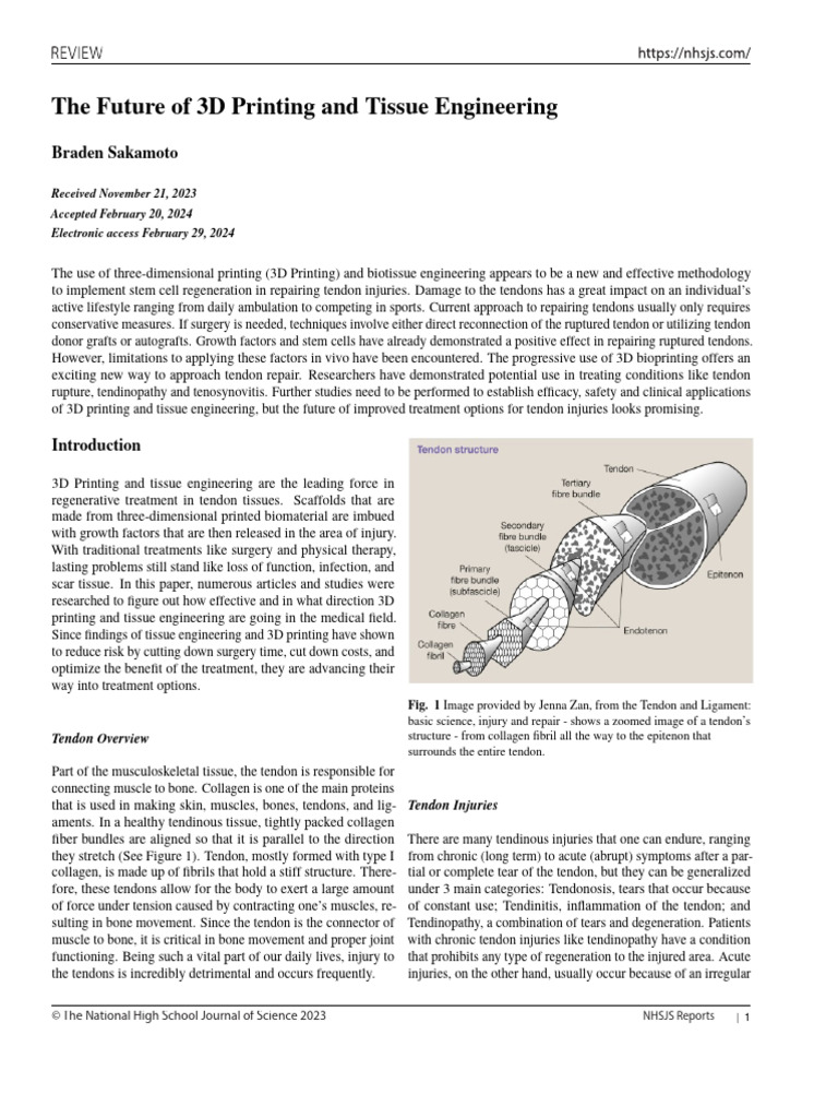 The Future of 3D Printing and Tissue Engineering | PDF | Tissue ...