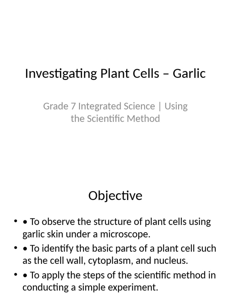 Observing Garlic Plant Cells Under Microscope | PDF