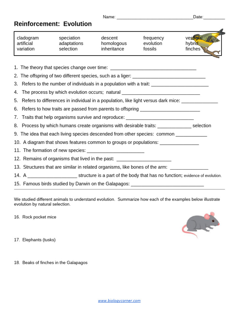 Reinforcement Evolution Answer Key | PDF