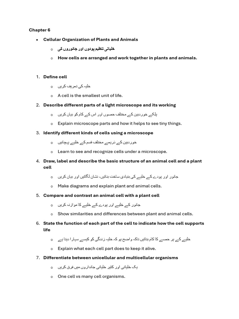 Asad | PDF