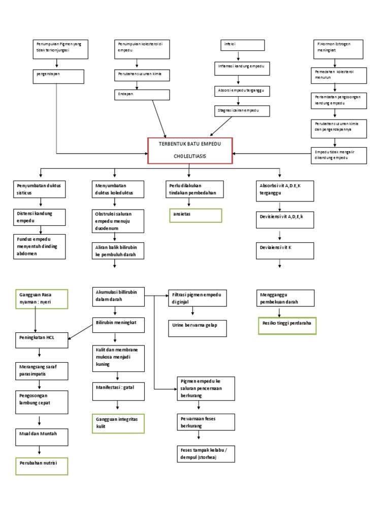 PATHWAY COLELITIASIS