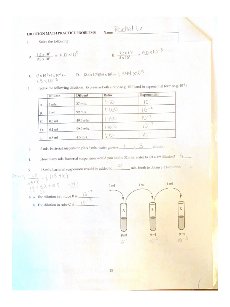 Rachel Ly | PDF