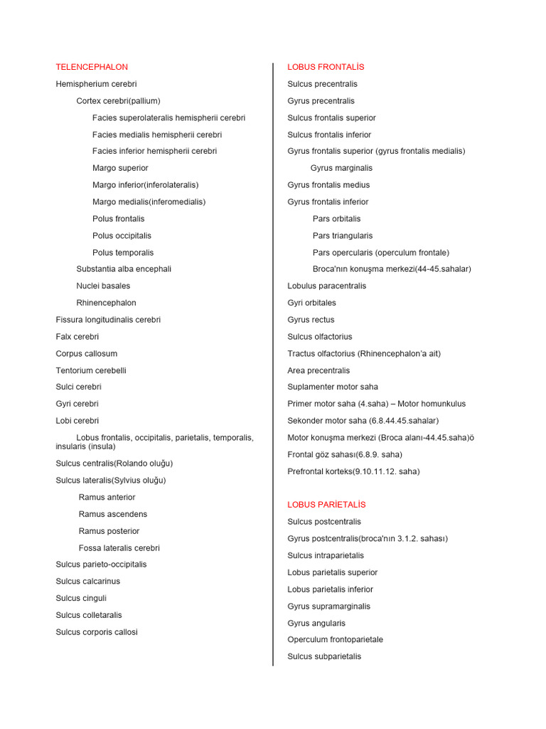 Telencephalon, Broadman, Limbic | PDF