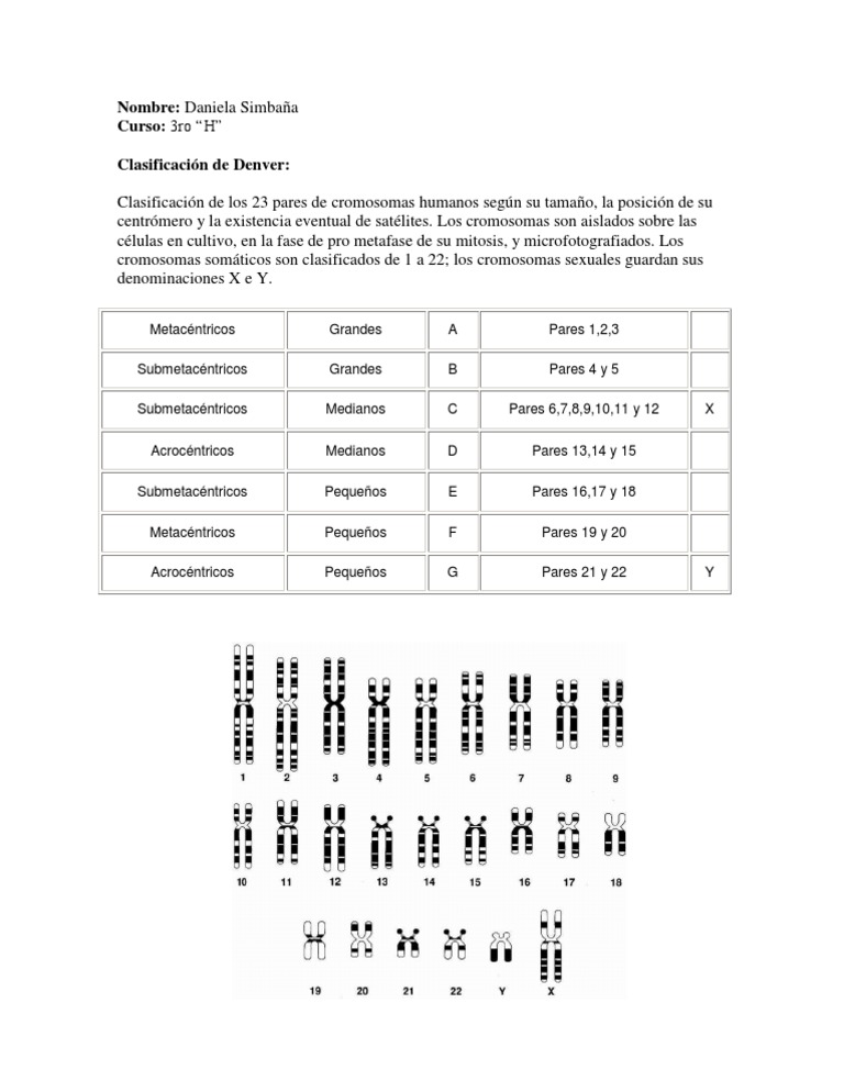 Clasificación de los cromosomas humanos | PDF | Cromosoma | Ciclo celular