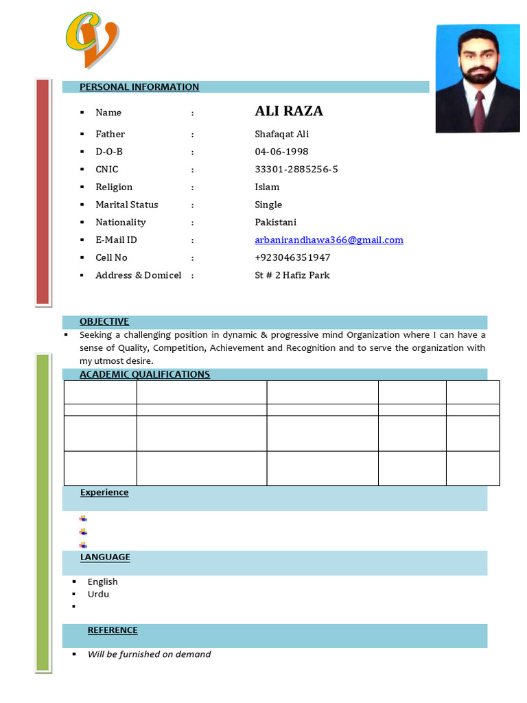 Ali Raza's Professional Curriculum Vitae | PDF