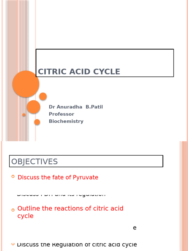 Citric Acid Cycle (BPT) | PDF