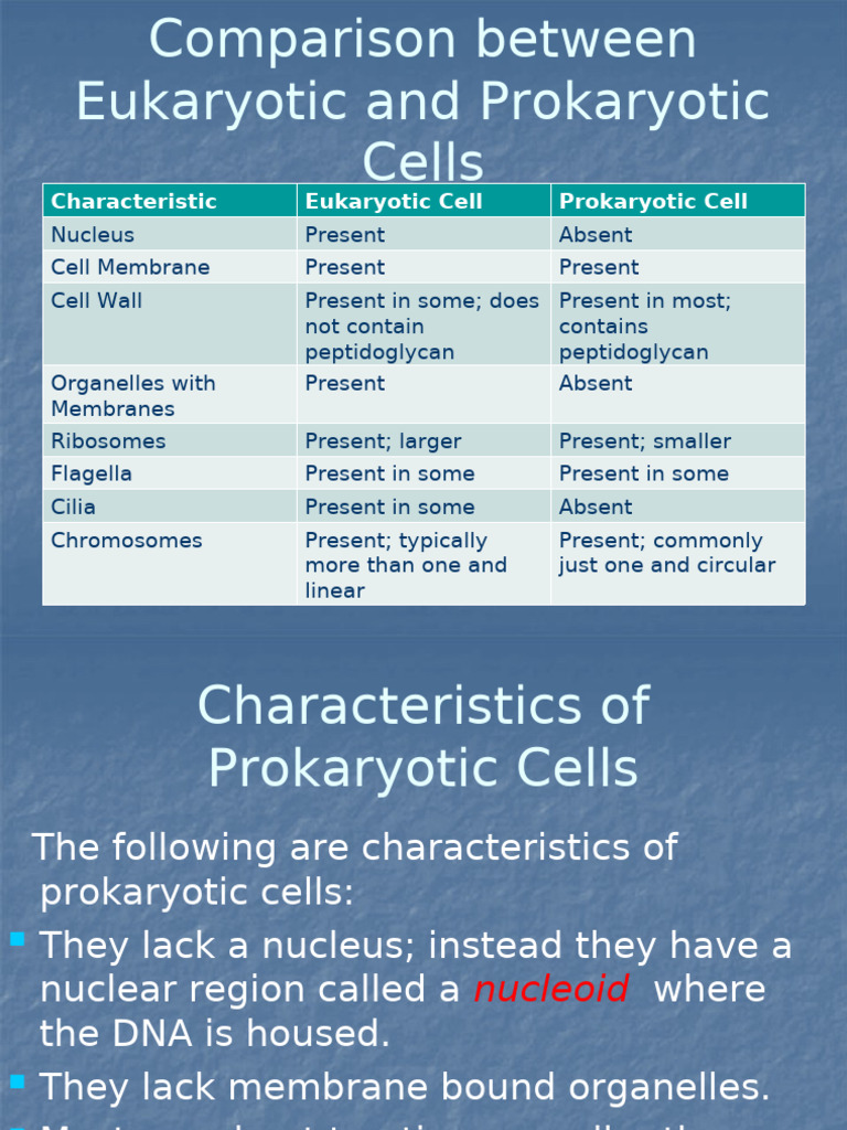 Eukaryotic and Prokaryotic Cells | PDF | Cell (Biology) | Prokaryote