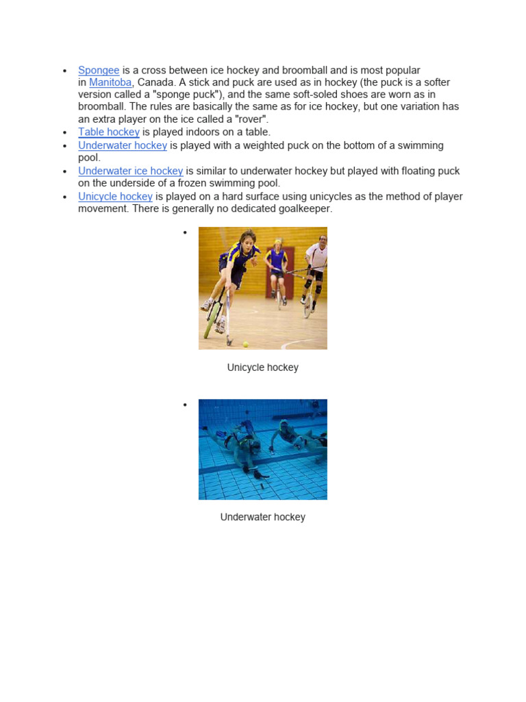 Spongee Manitoba | PDF | Sport Variants | Variations Of Hockey