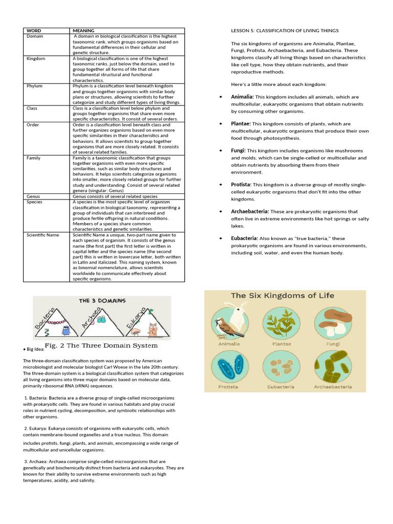 Understanding Biological Classification | PDF | Eukaryotes | Taxonomy ...