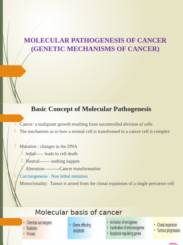 Molecular Pathogenesis of Cancer Explained | PDF | Cell Cycle | Oncogene