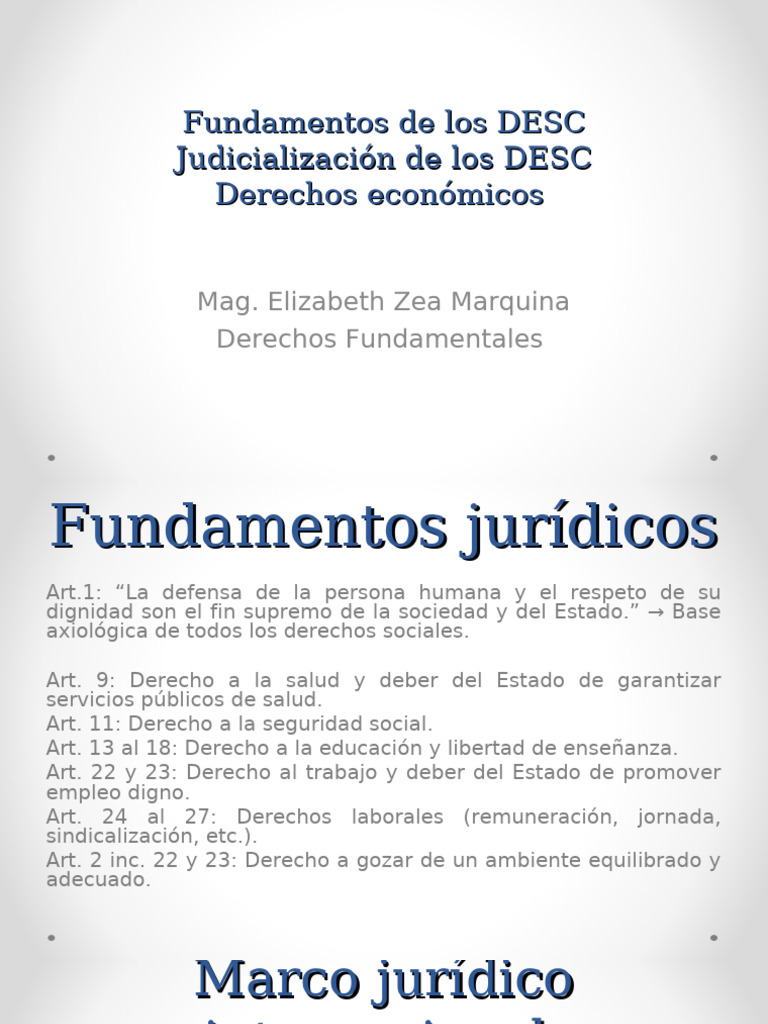 Derechos Sociales y Económicos | PDF | Derechos | Derechos humanos